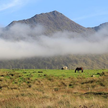 The Reeks Cottage Killarney Exterior photo
